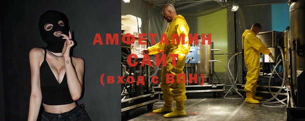 гашик Вяземский