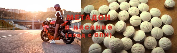 прущие грибы Верея