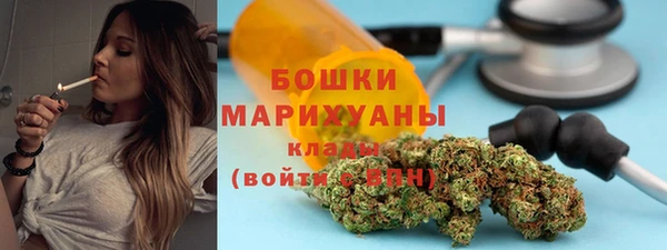 PSILOCYBIN Верхний Тагил