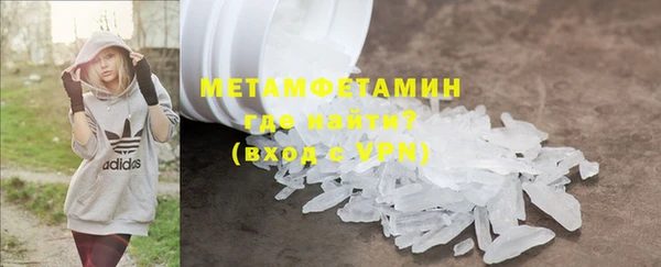 прущие грибы Верея