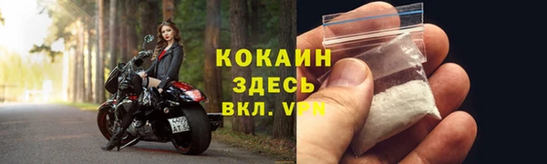 PSILOCYBIN Верхний Тагил