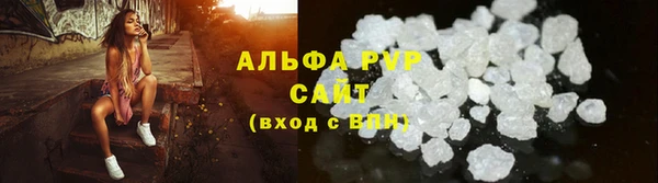 прущие грибы Верея