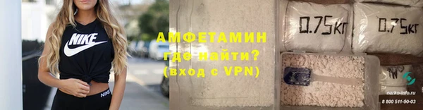прущие грибы Верея