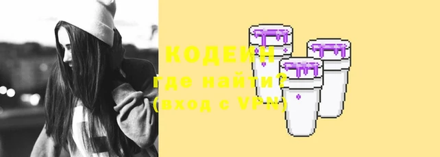 прущие грибы Верея