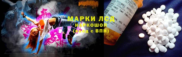 ГАЛЛЮЦИНОГЕННЫЕ ГРИБЫ Володарск