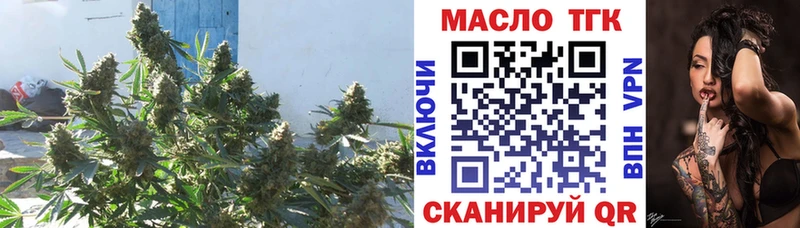 ссылка на мегу вход  Дорогобуж  ТГК вейп 