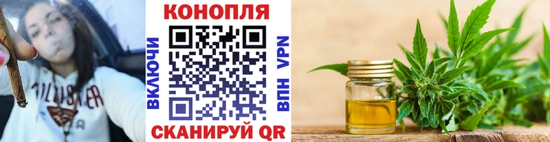Бошки марихуана THC 21%  Дорогобуж 